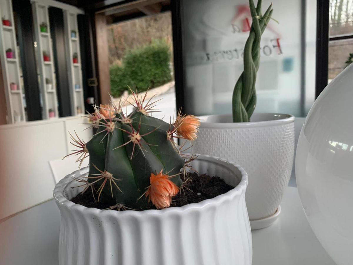 La Foresteria Vacchereccia 外观 照片